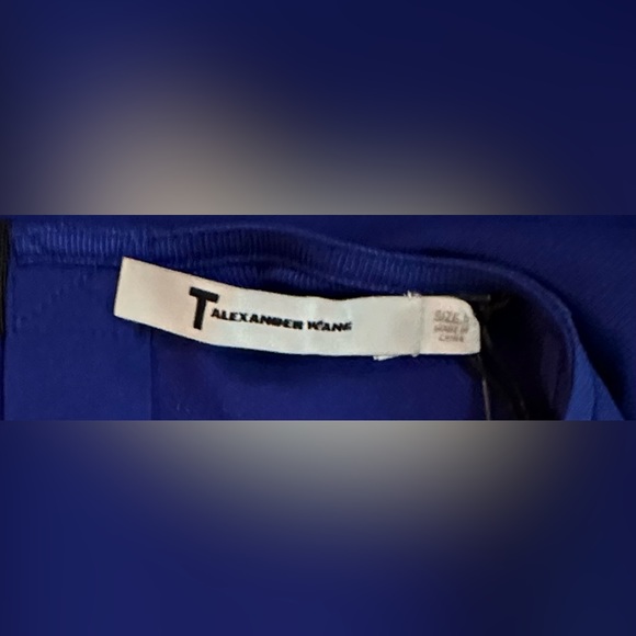 NWT Alexander Wang T Sleeveless Cutout
Silk Crepe Bandeau Mini Dress - Picture 4 of 11